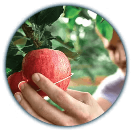 Dbáme na kvalitu vypestovaných plodín