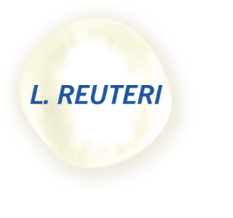 Molekula L.REUTERI
