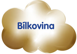 bílkovina