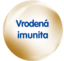 Vrodena imunita