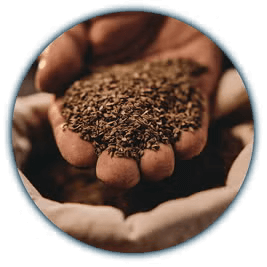 Starostlivo vyberáme semienka na zabezpečenie plnej cuti našich plodín