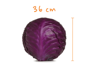 Těhotenství - Nestlé baby