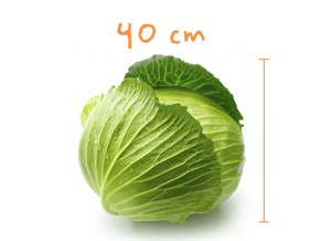 Těhotenství - Nestlé baby