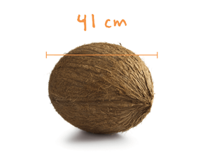 Těhotenství - Nestlé baby