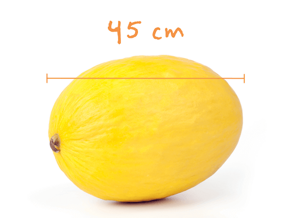 Těhotenství - Nestlé baby