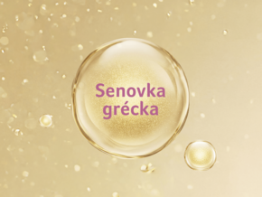Senovka grécka