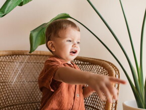 When and how to teach a child to go to the potty