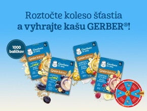 Gerber kaše
