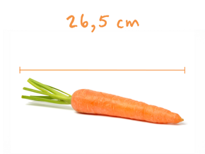 Těhotenství - Nestlé baby