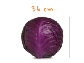 Těhotenství - Nestlé baby