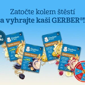 Gerber kaše