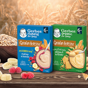 Gerber kaše