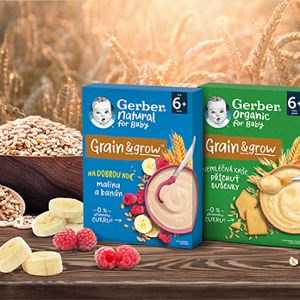 Gerber kaše