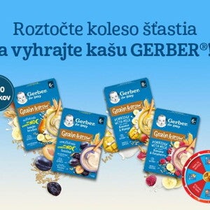 Gerber kaše