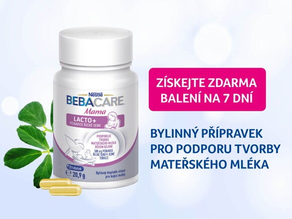 BEBACARE