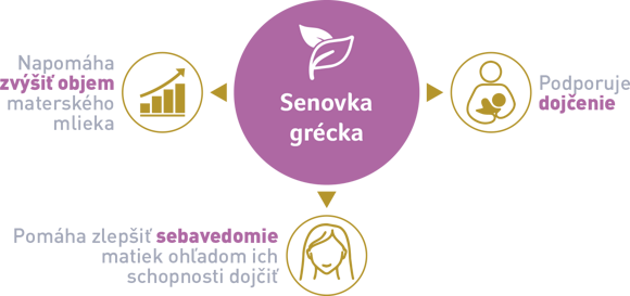 senovka grécka senovka grécka