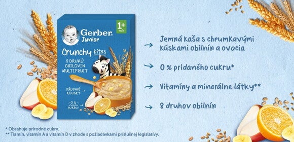 GERBER Junior nemliečna kaša ovocná 200 g GERBER Junior nemliečna kaša ovocná 200 g
