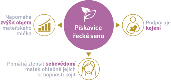 pískavice řecké seno pískavice řecké seno