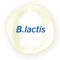 B. LACTIS